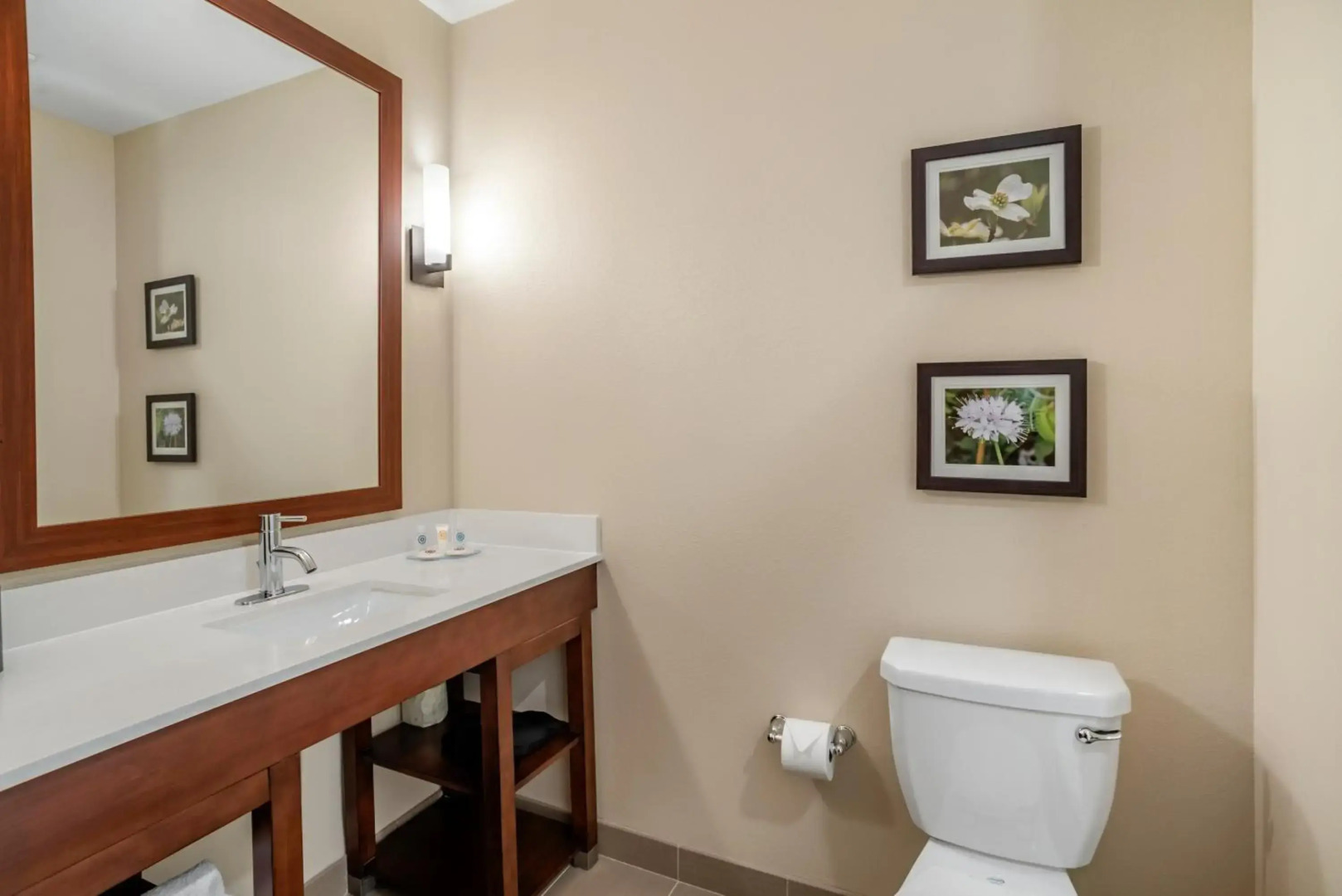 Comfort Inn & Suites Winchester