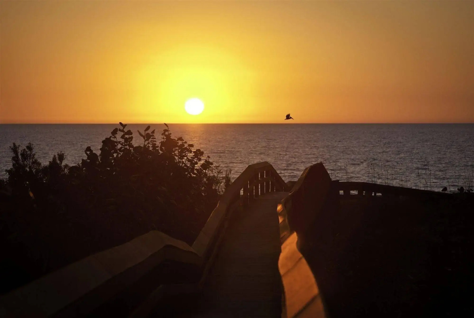 Hilton Grand Vacations Club Regency