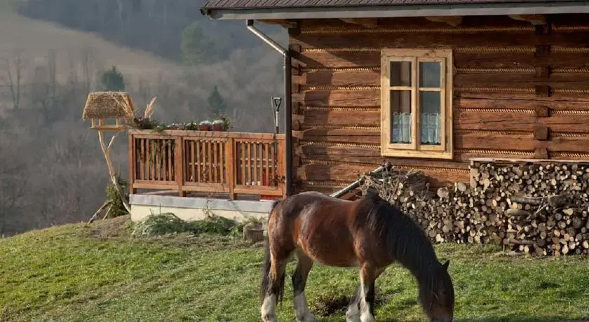 Dom Gościnny Szpilkowo