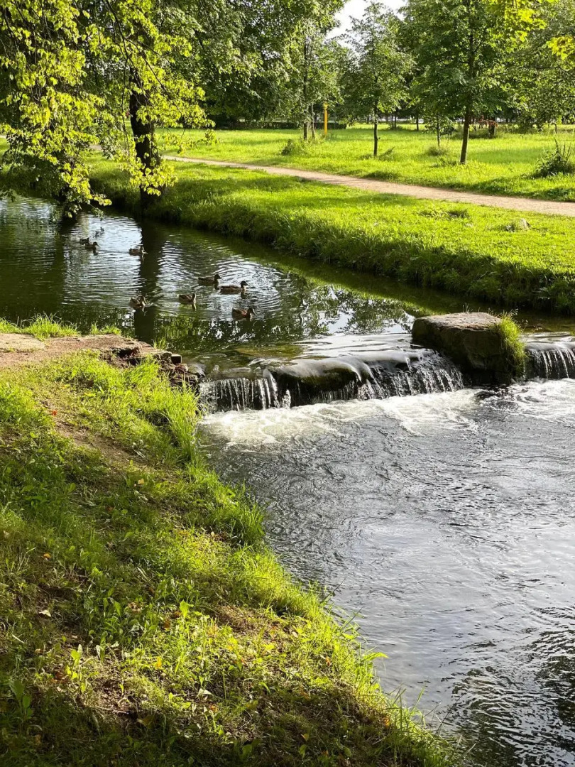 Таунхаус в Петергофе