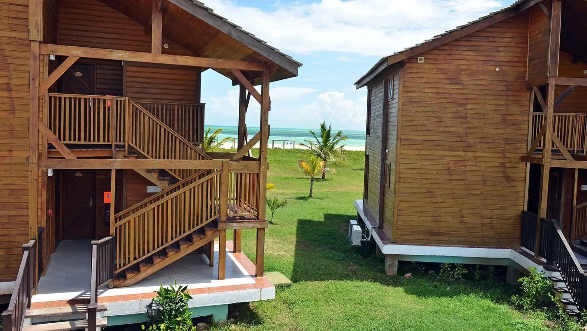 Starfish Cayo Guillermo