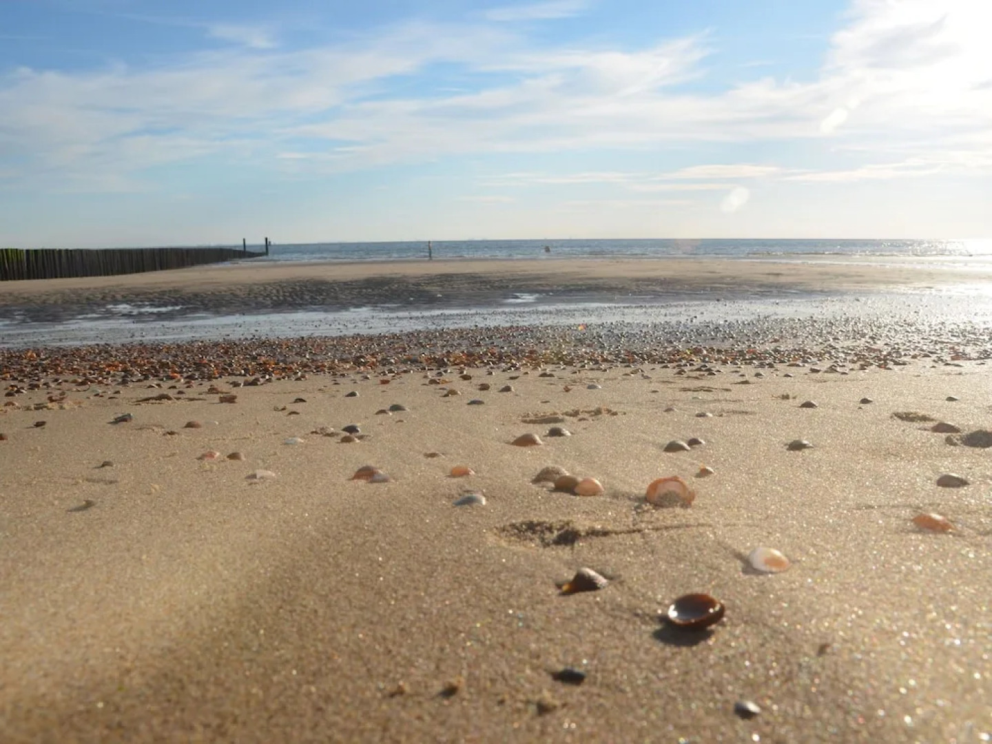 Apartment in Koudekerke Near South Beach