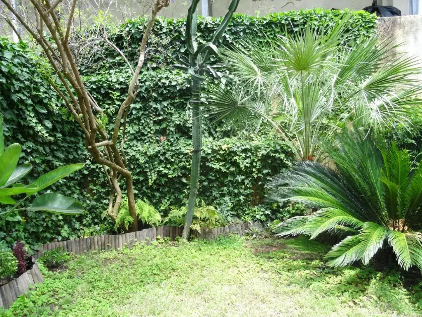 Jardin d'Olisipo - Centre Ville