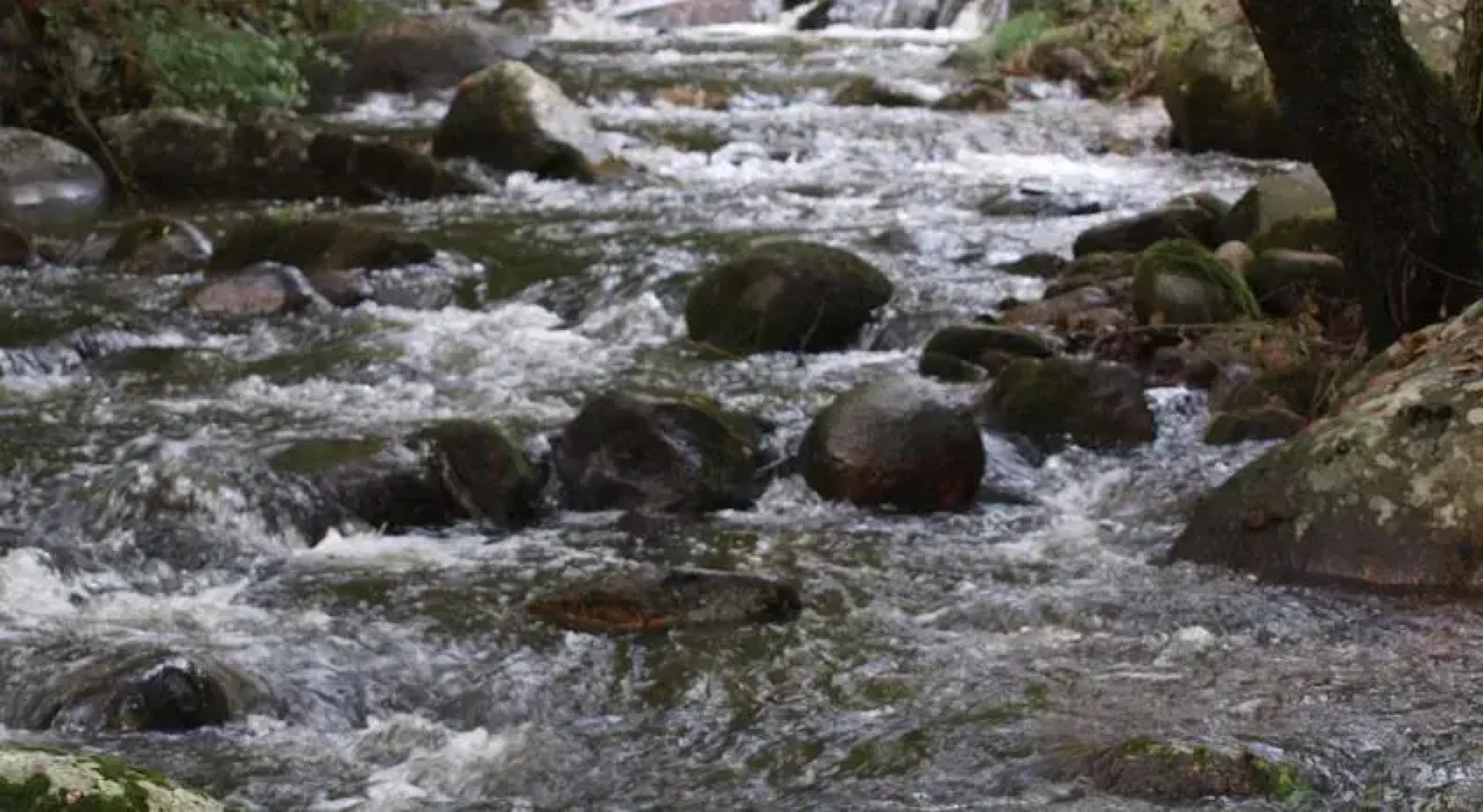 Casa rural El Olivar del Duque
