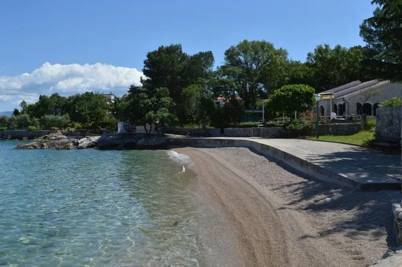 Apartment Blue Orchid