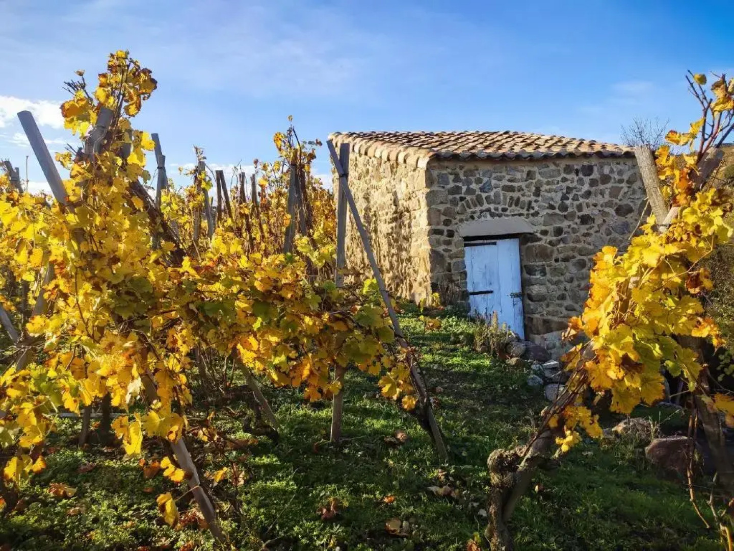 CONDRIEU T3 Climatisé 2ème étage