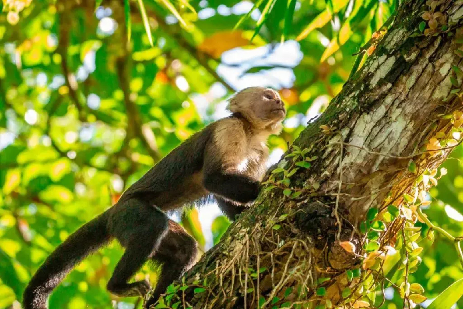 Palapa Hut Hostel & Camping