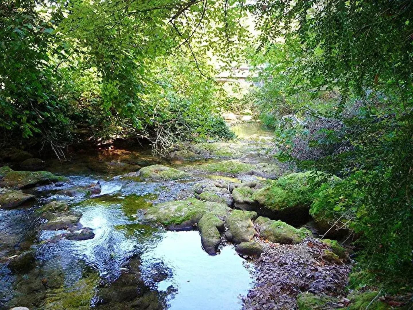 Apartment with One Bedroom in la Roquette-Sur-Siagne, with Furnished Terrace And Wifi - 5 Km From the Beach