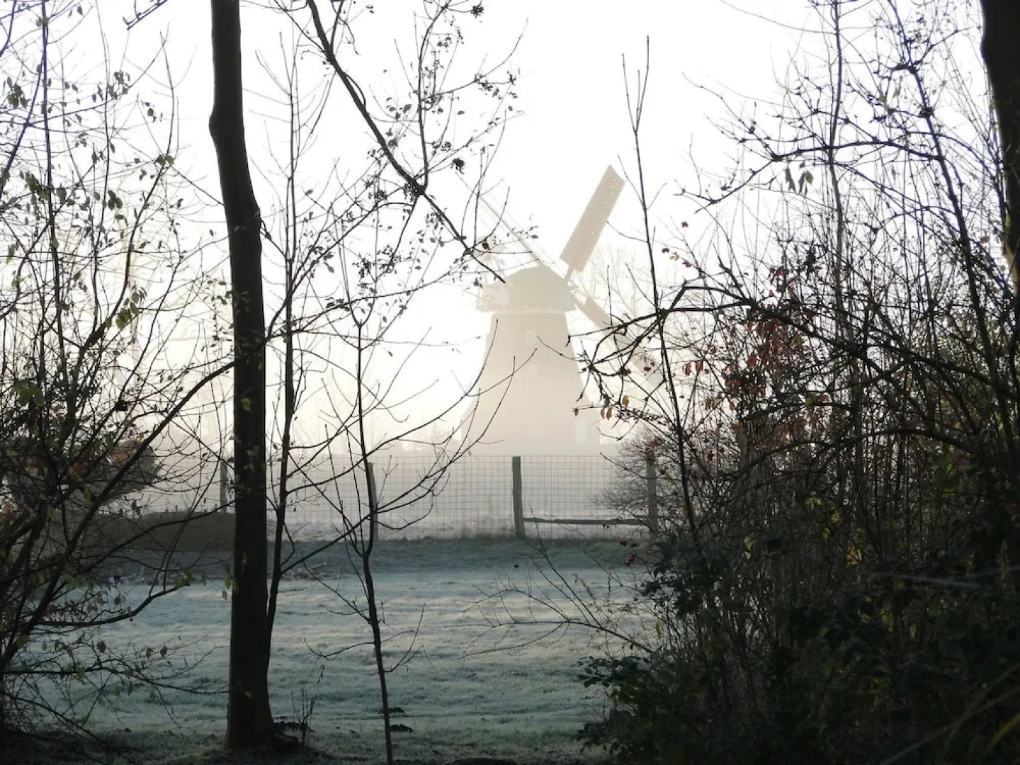 Spacious Apartment With Garden in Boisendorf