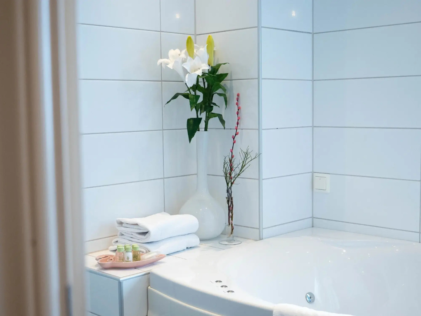 Björkbackens Karaktärshotell