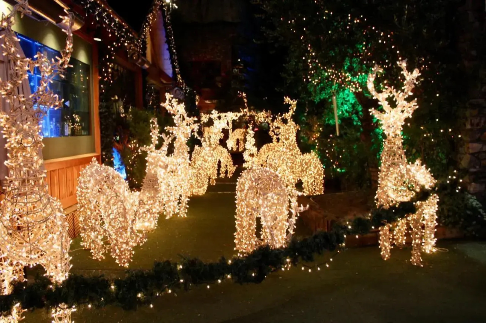 Residencial Mondariz Balneario 118