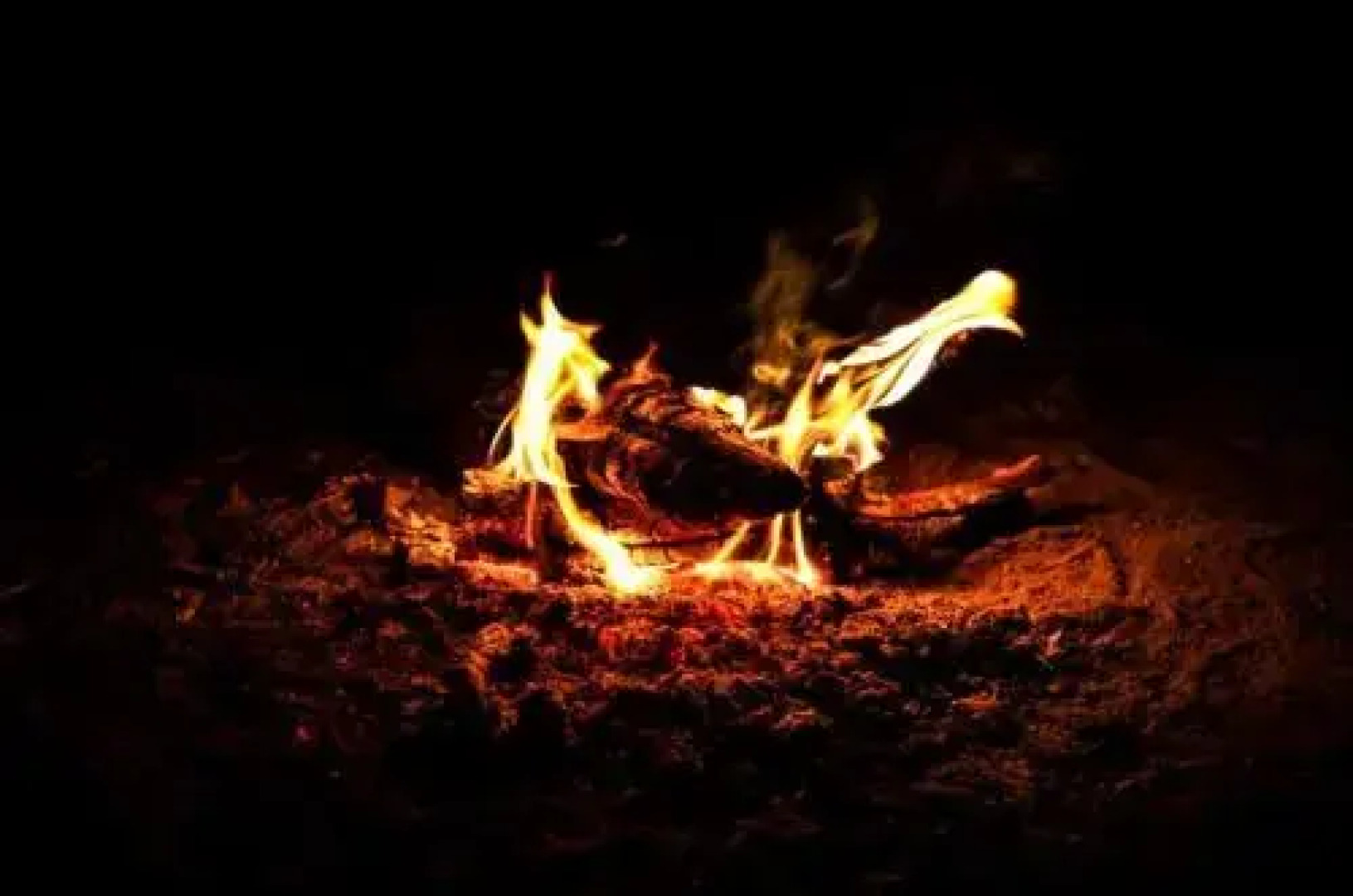 The Wilds Villa Gir Resort with Swimming Pool