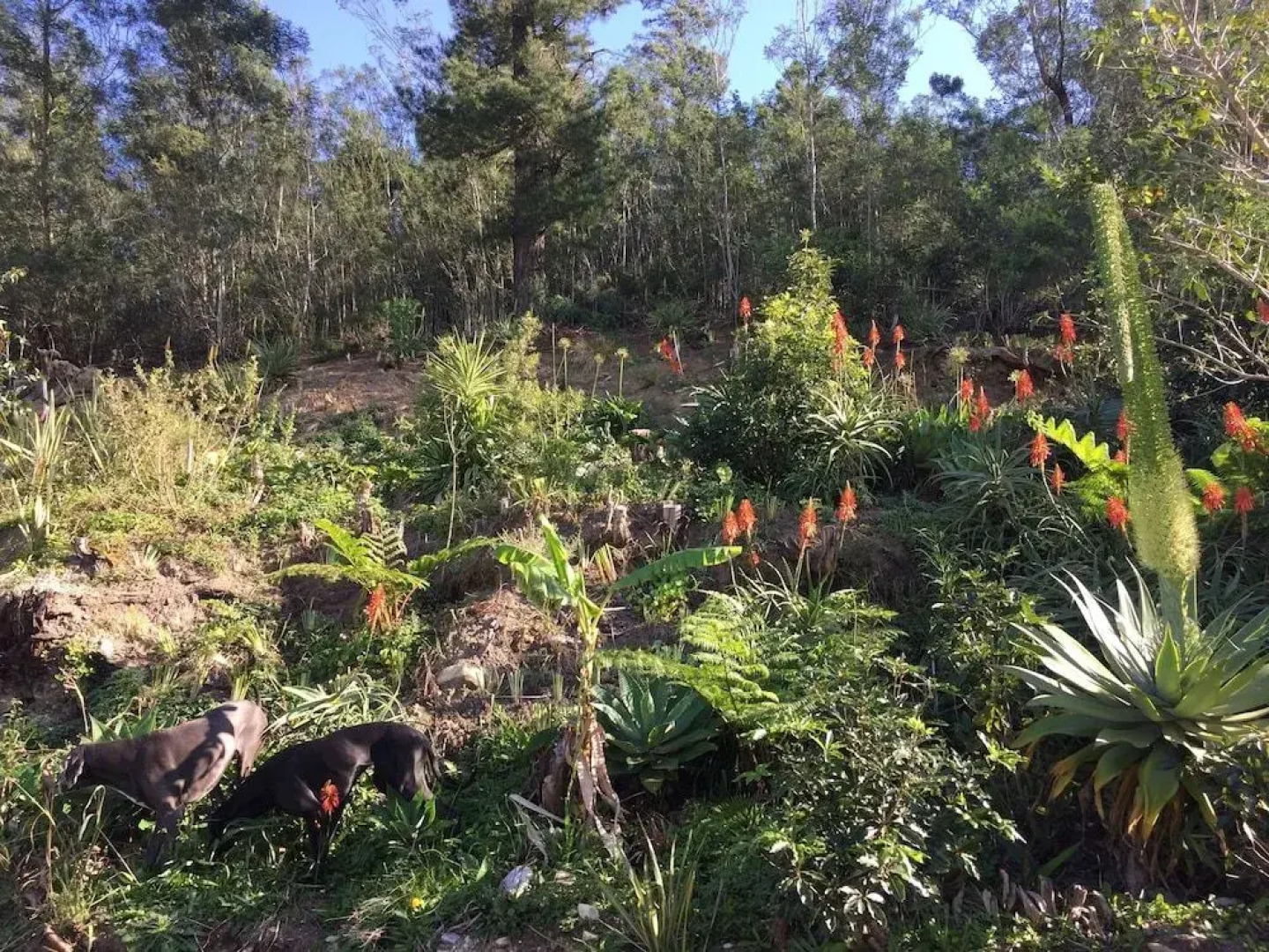 A Riverbed Guesthouse