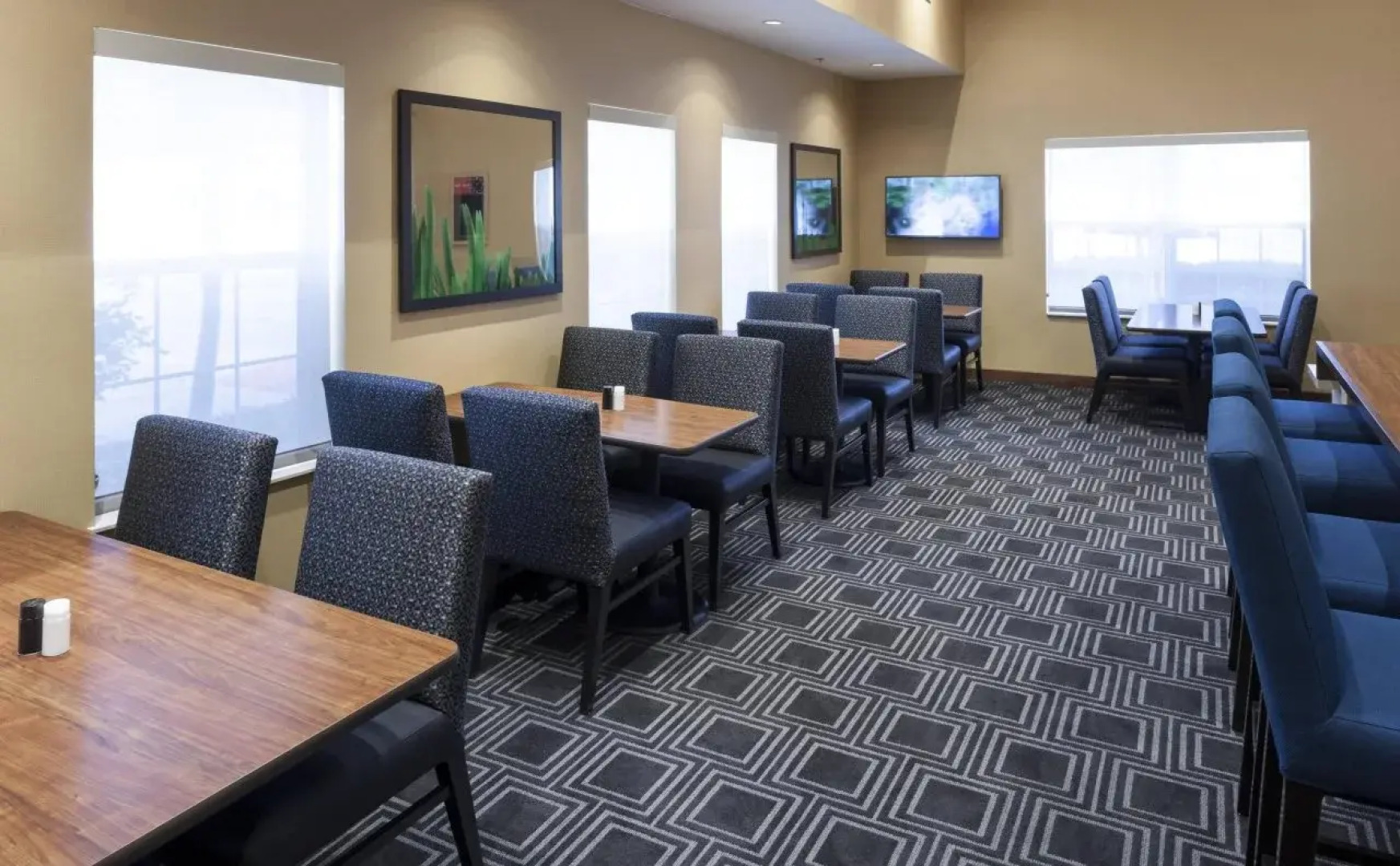 TownePlace Suites by Marriott Dallas Las Colinas