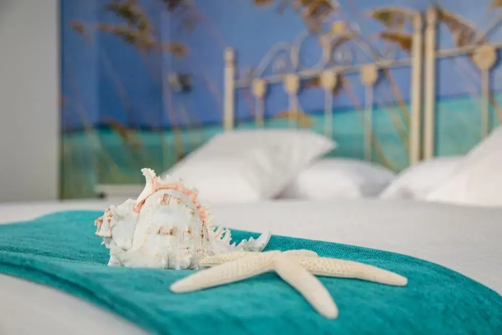 Salamandra Plaza B&B