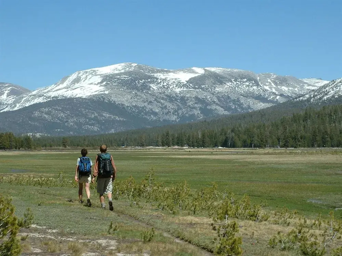 Evergreen Lodge At Yosemite