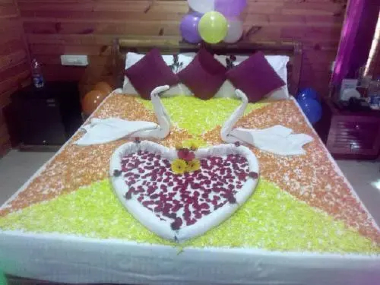 Coastal Galaxy Wooden Homes