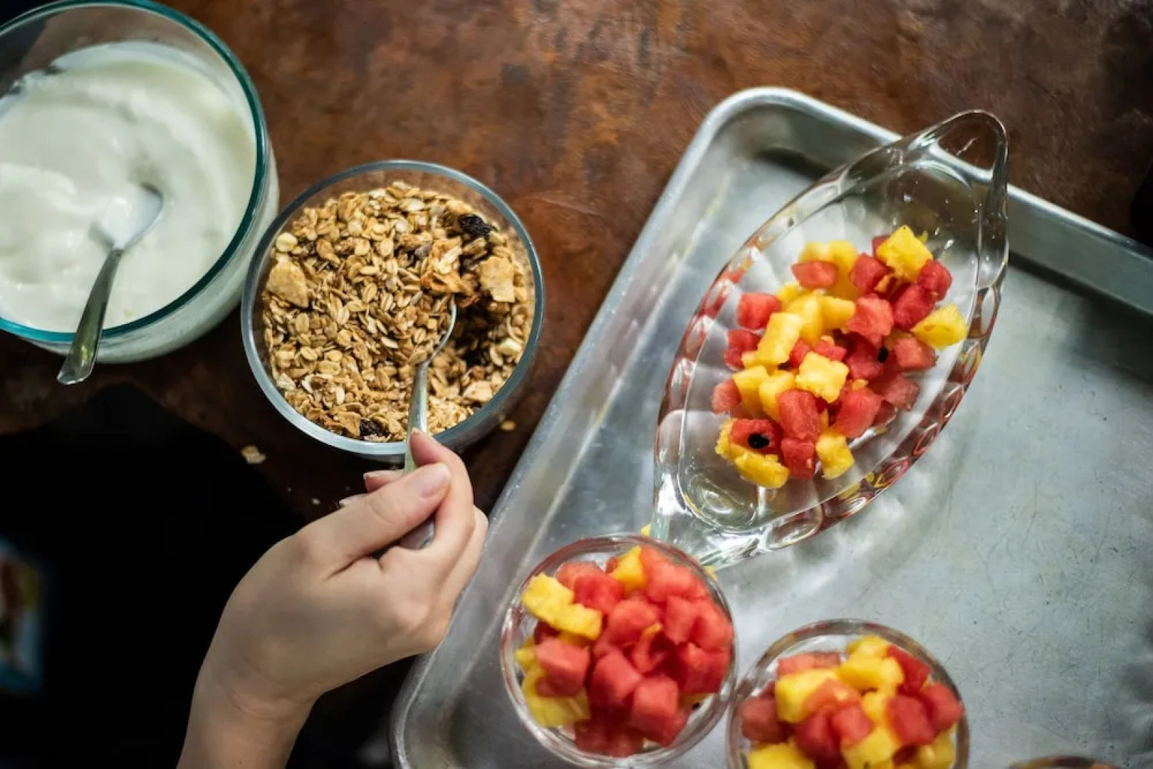 Jungle Lodge at Wild Sun Rescue