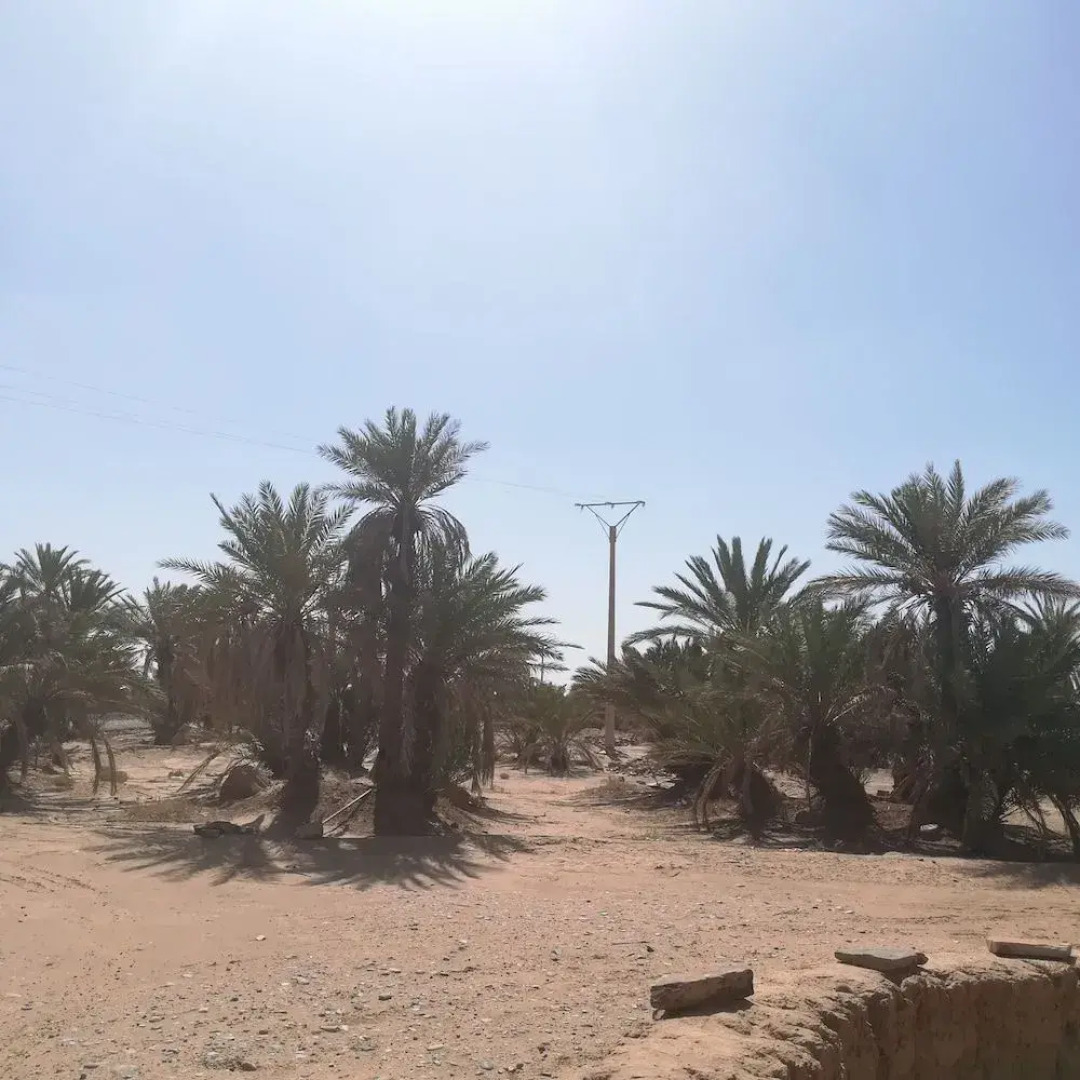 Desertbrise Camp