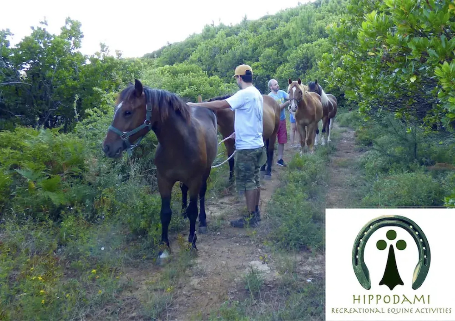 Arxontiko Mytilineou Skretaion