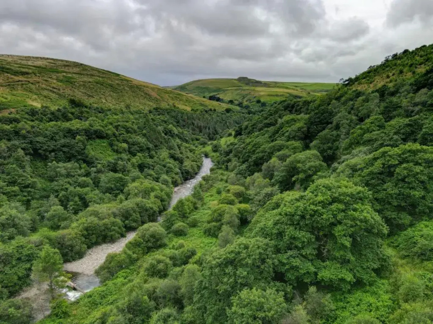 Rowan House Bed breakfast Main house & self contained self catering apartment