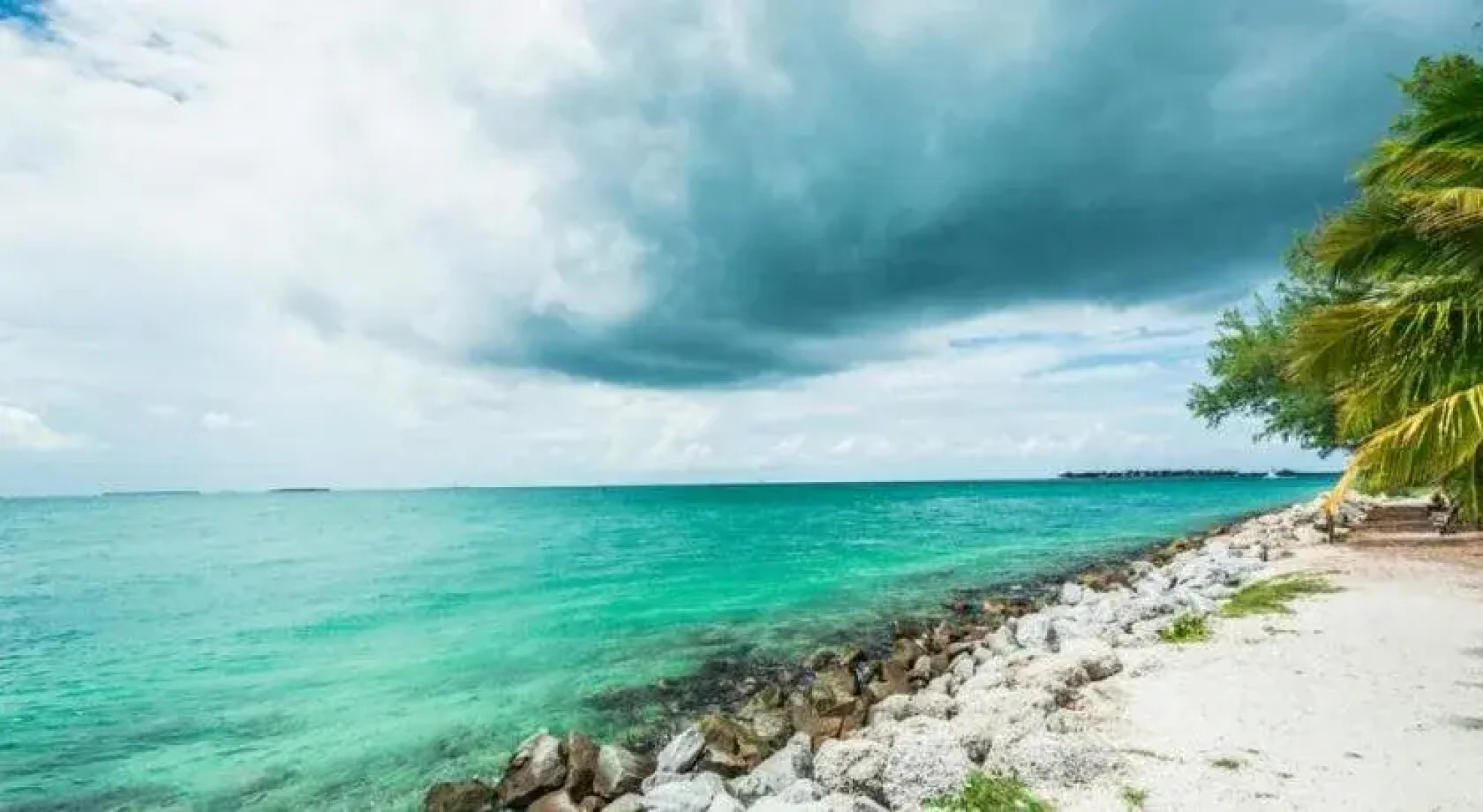 Coral Garden by Avantstay Great Location w/ Balcony & Shared Pool