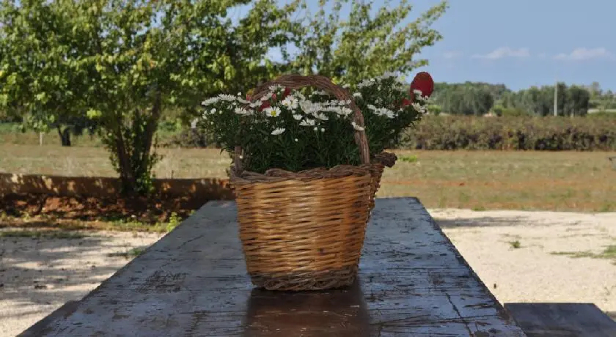 Agriturismo Tenuta Muzio