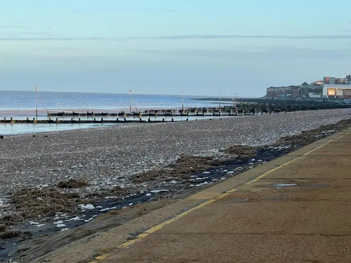 Gone To the Beach Flat 1