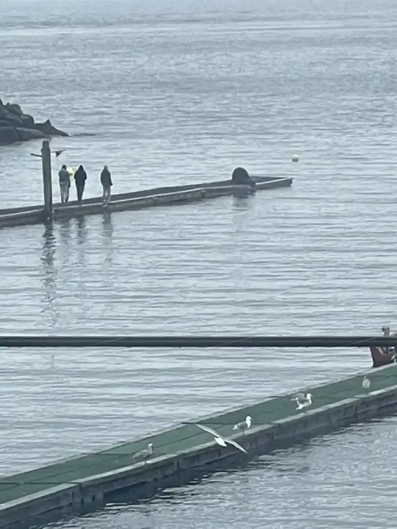 Curley's Resort & Dive Center