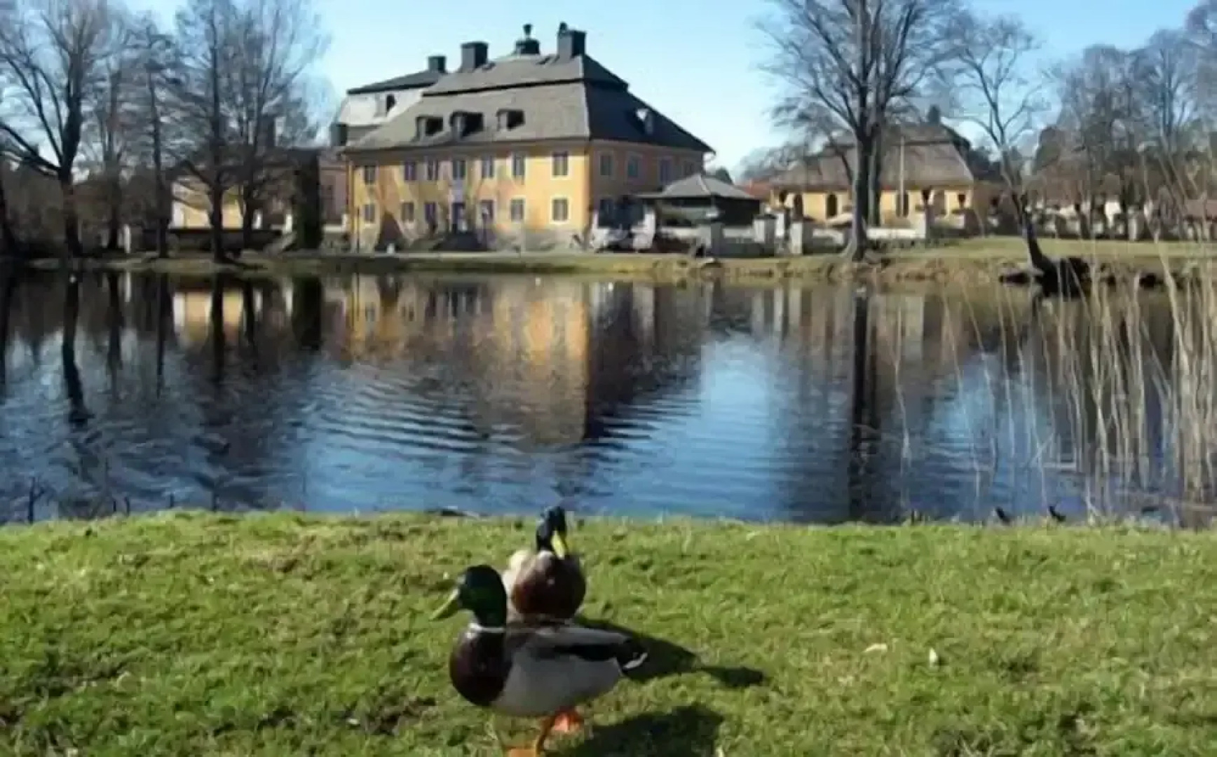 Wärdshuset Gammel Tammen