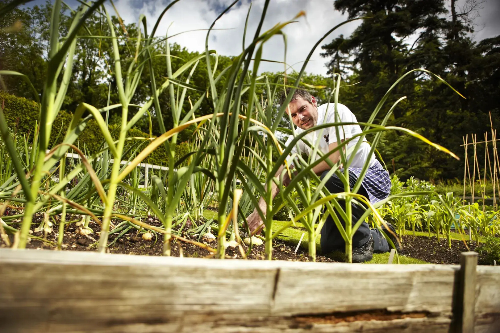 Manor House Hotel and Golf Club