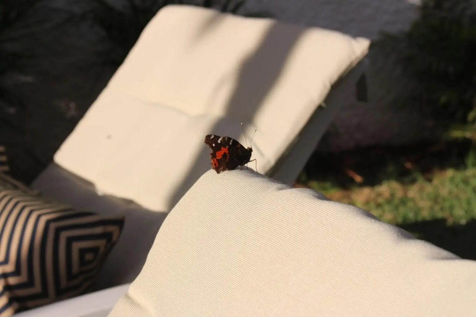 Villa in protected space in front of the sea