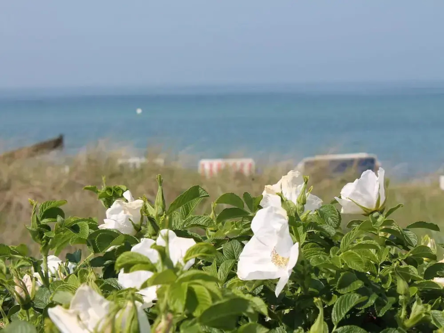 Quaint Bungalow in Reddelich near Baltic Sea Coast
