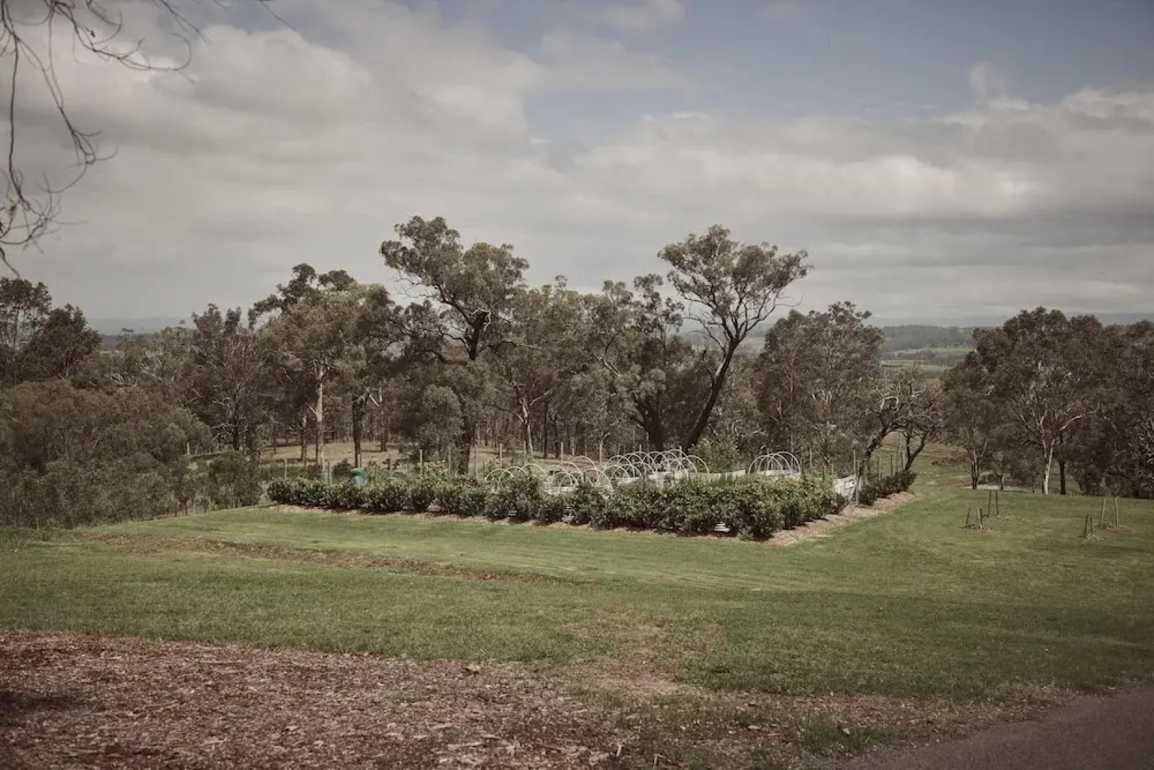 Elysia Wellness Retreat