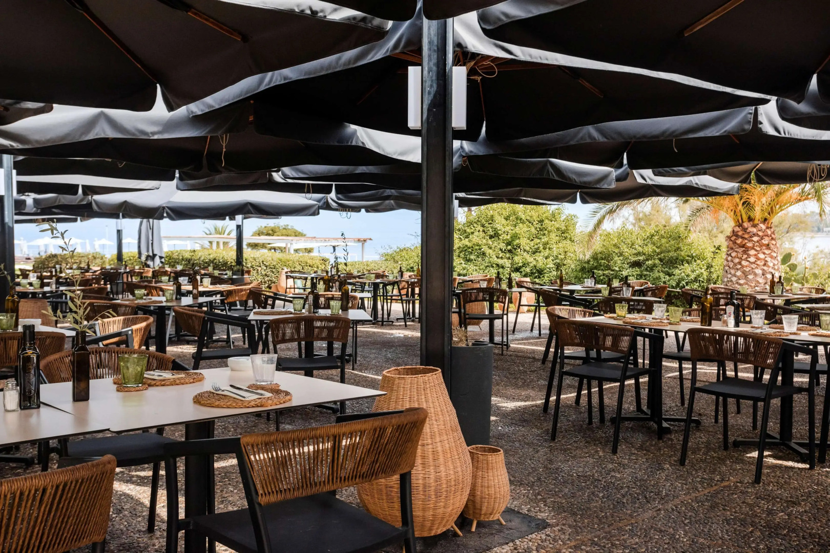 Mangia's Brucoli, Sicily, Autograph Collection