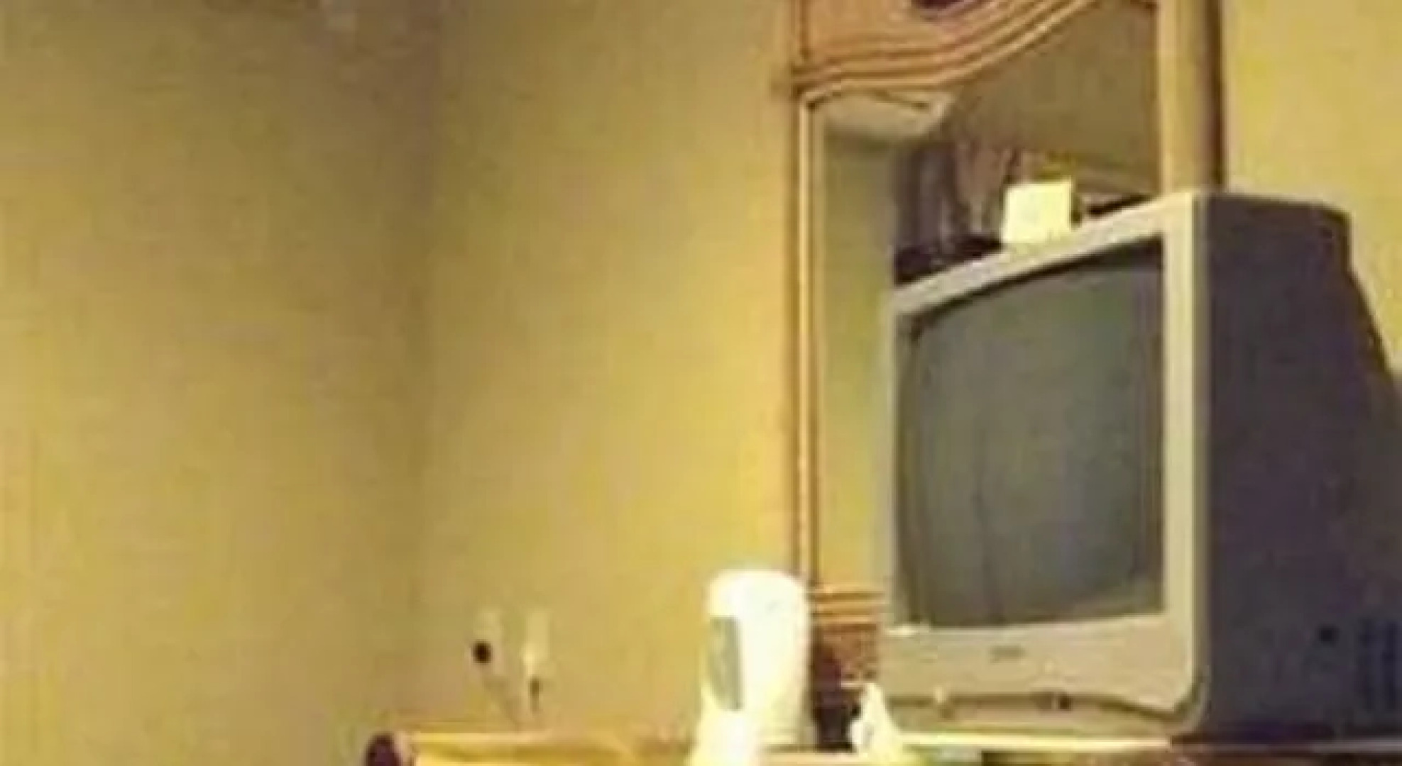 Hotel Hana to Midori no Mizuho Ishigakijima