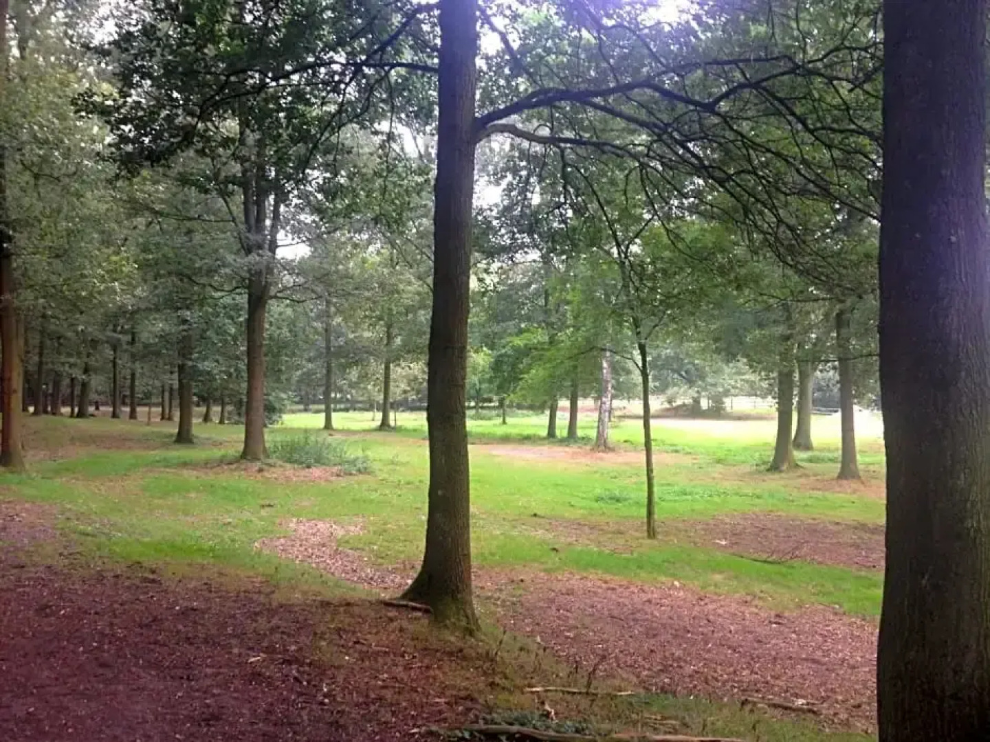 B&B Landgoed Bergerven