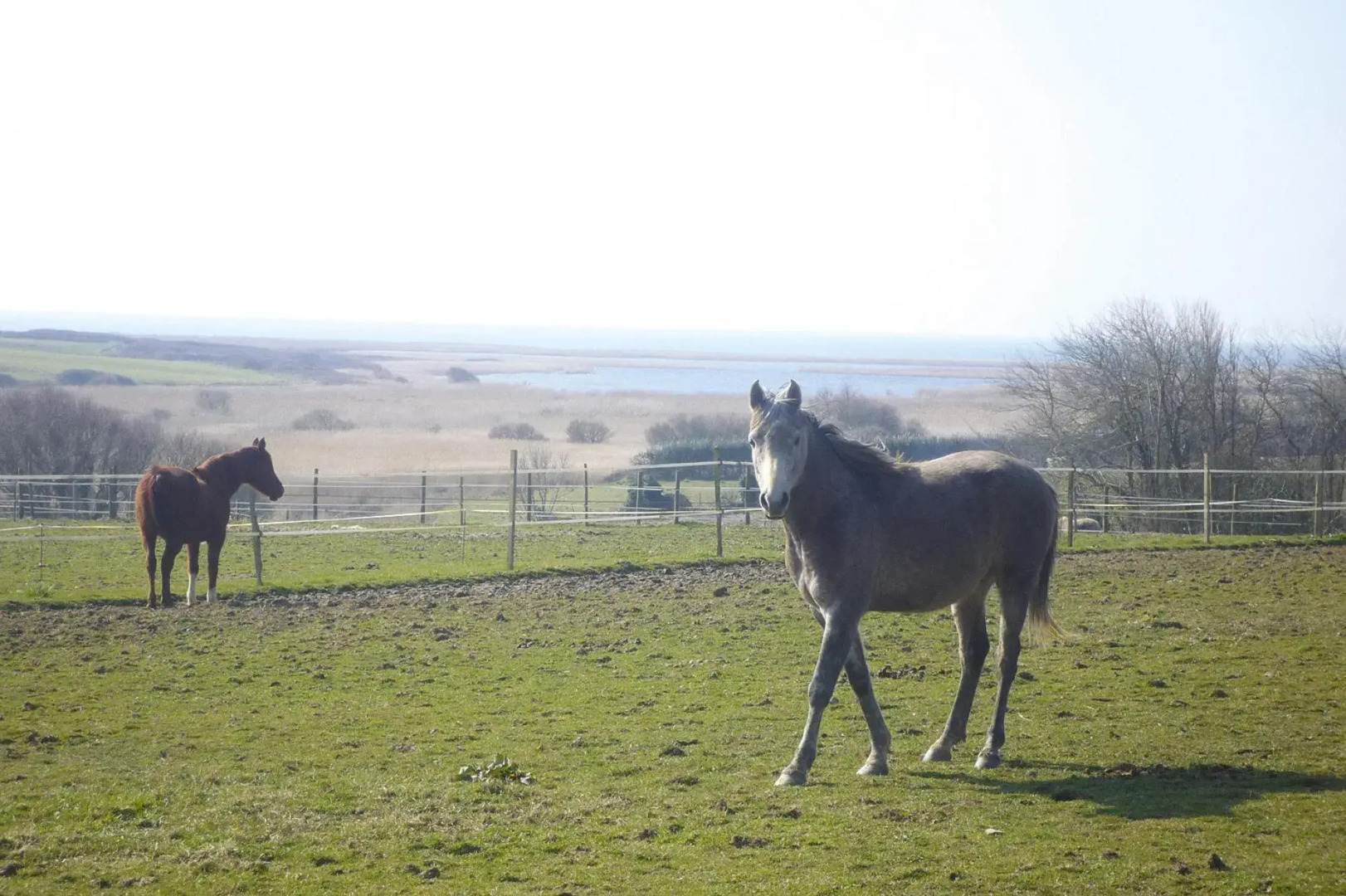 Holiday Home, Plovan