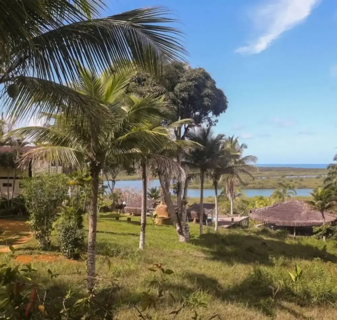 Art Jungle Eco Lodge