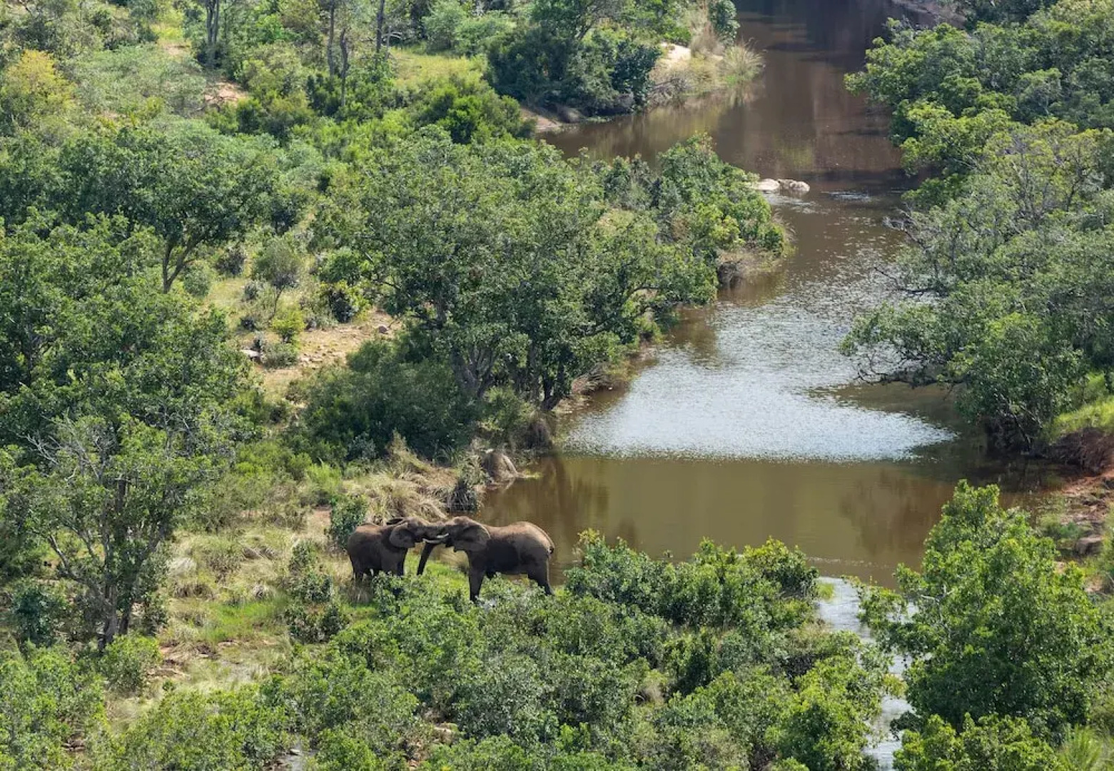 Clifftop Exclusive Safari Hideaway Lodge - All Inclusive