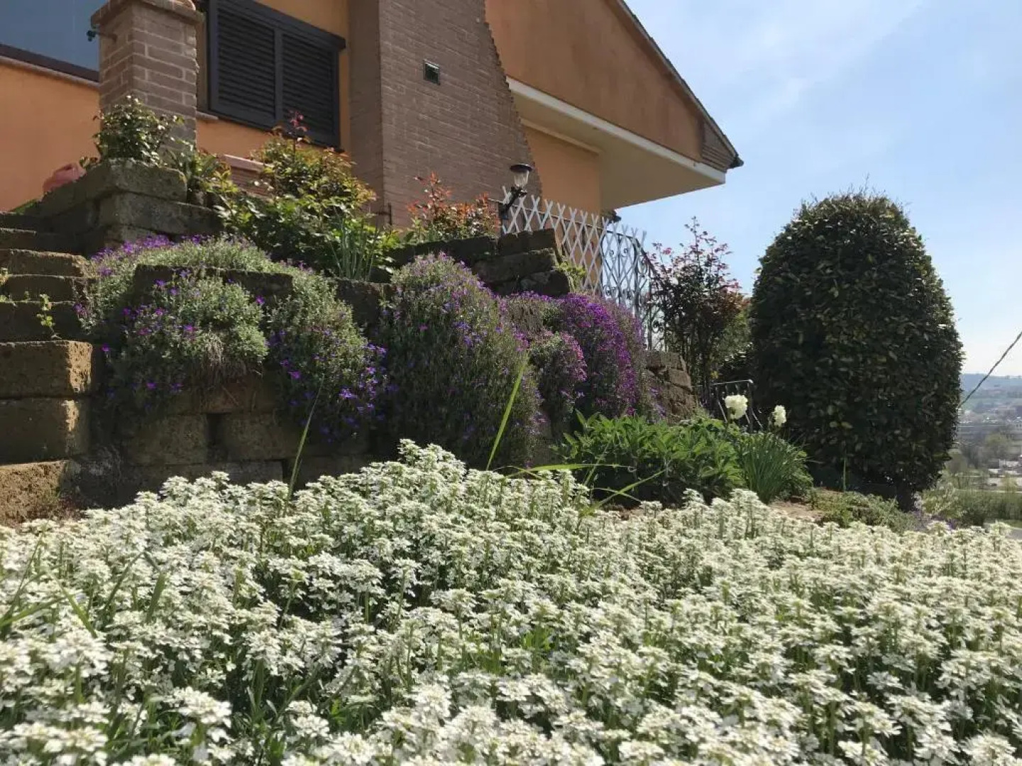 La Mammola Bed&Breakfast