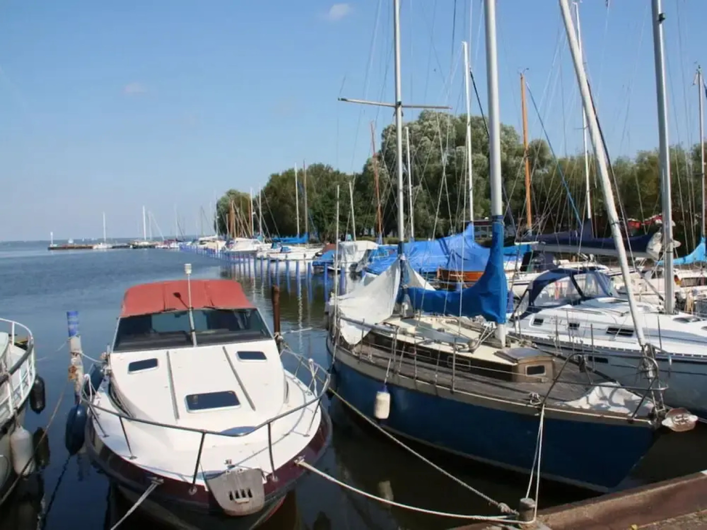 Waldhaus No.15 Modern Retreat