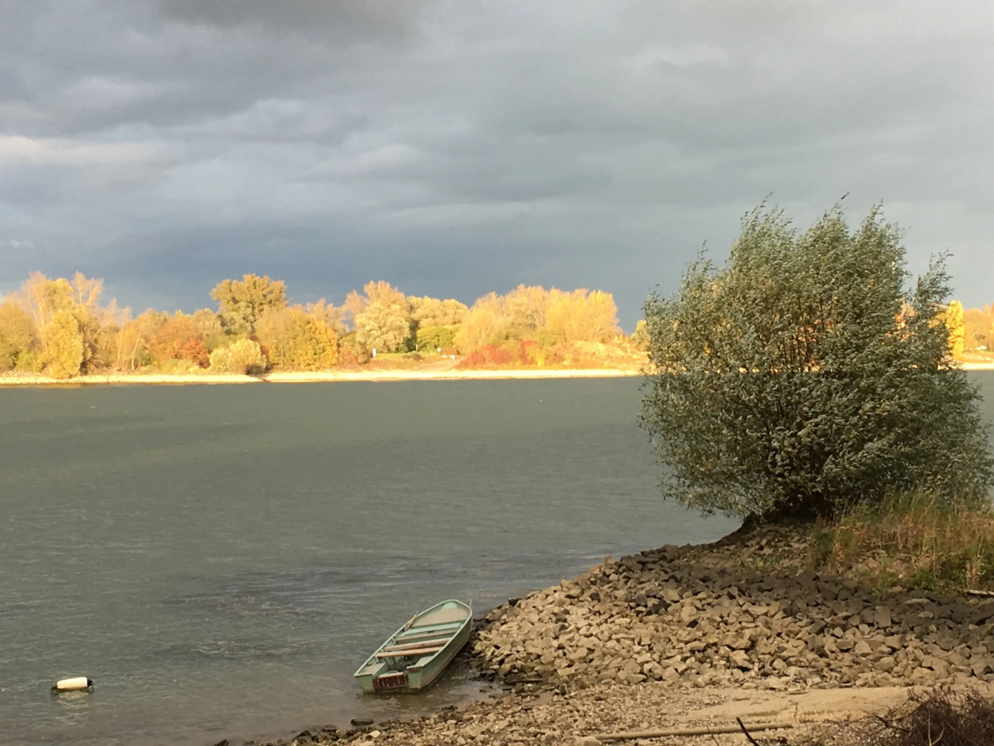 Rhein-Hotel Nierstein