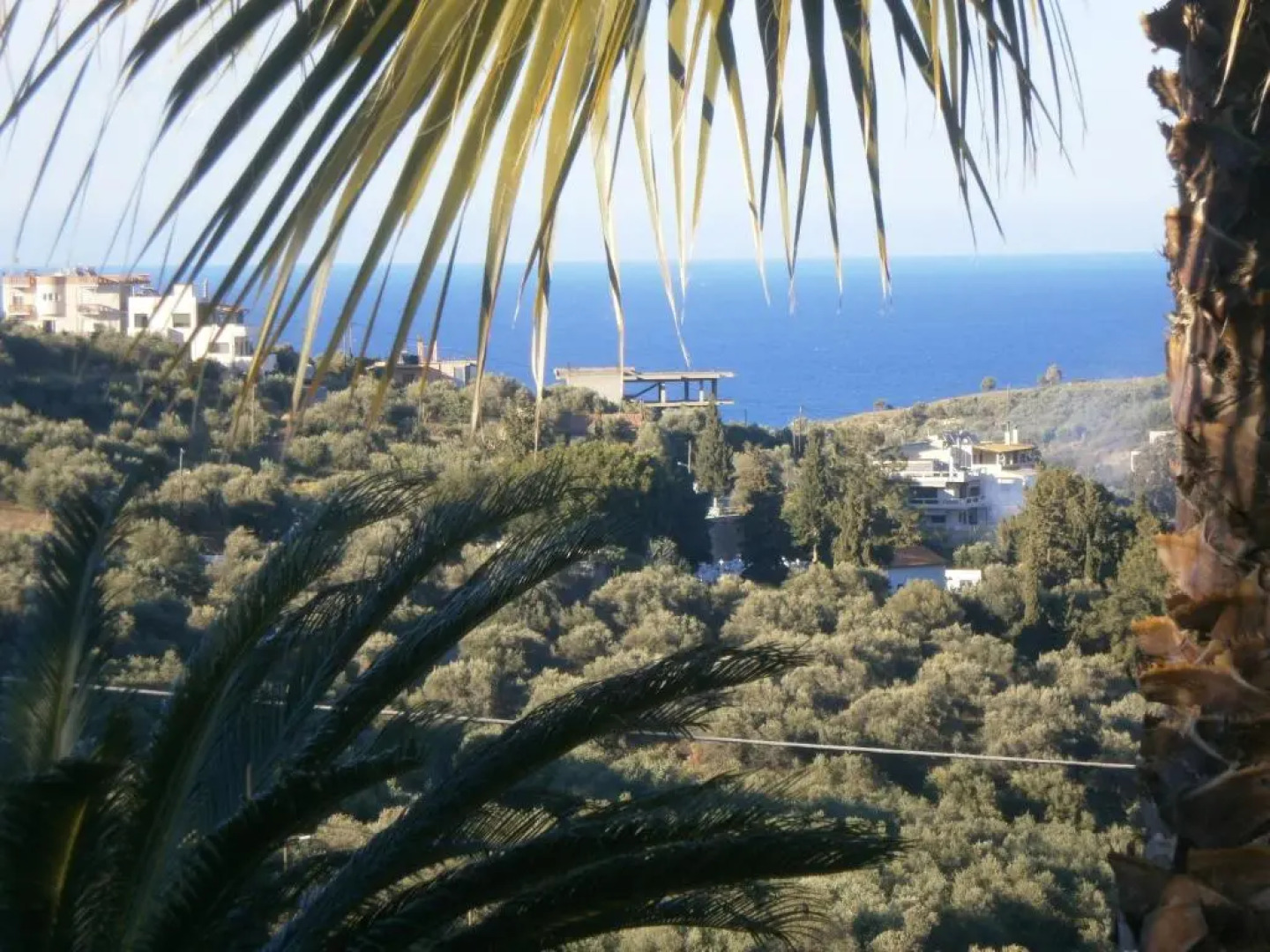 Aristos Apartments & Suites