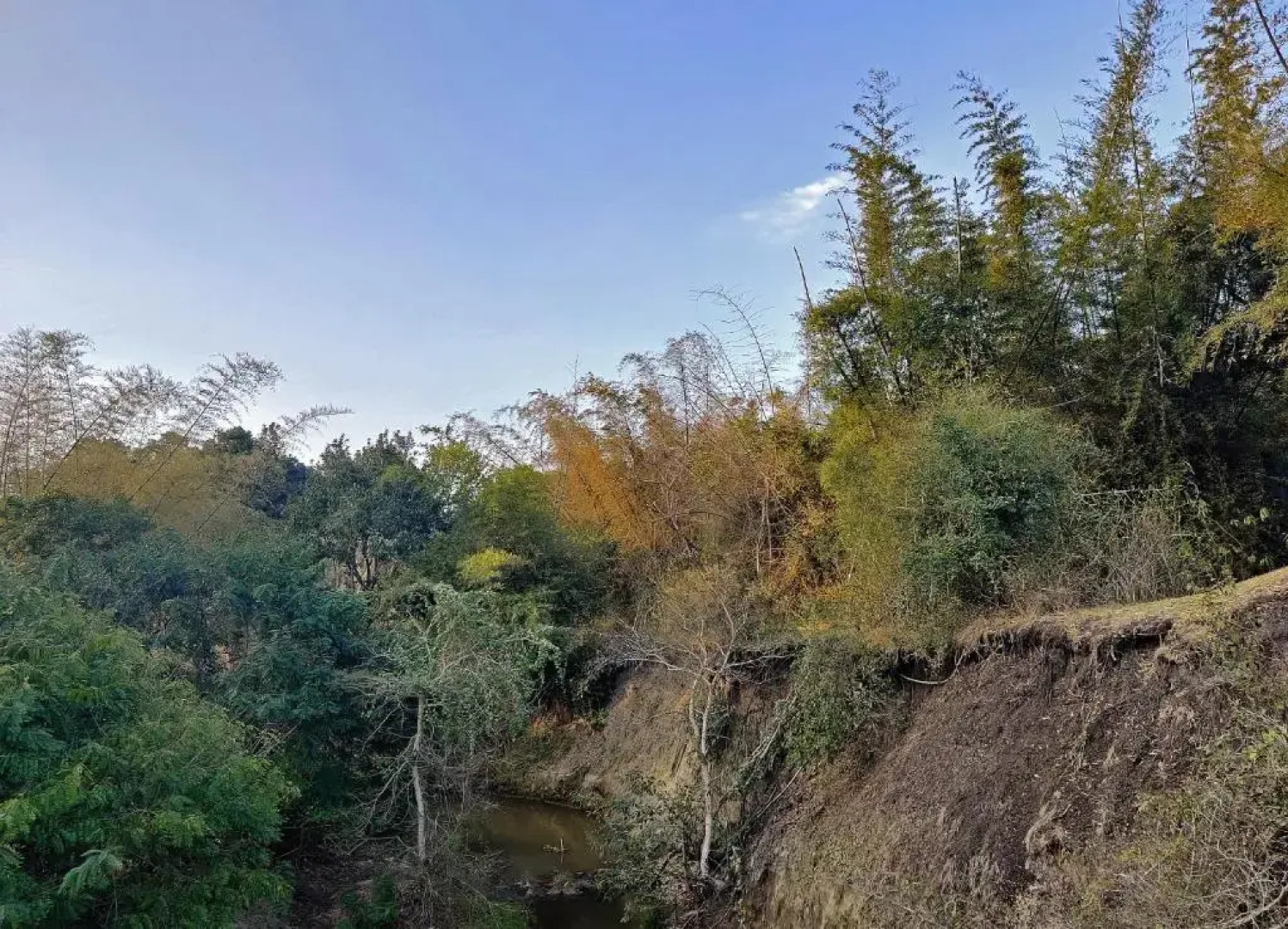 Bamboo Banks Farm & Guest House