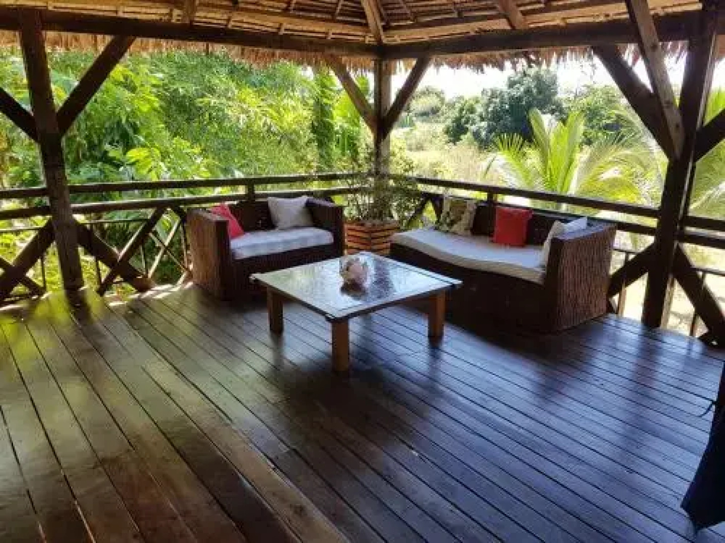 Les Dauphins De Nosy Be