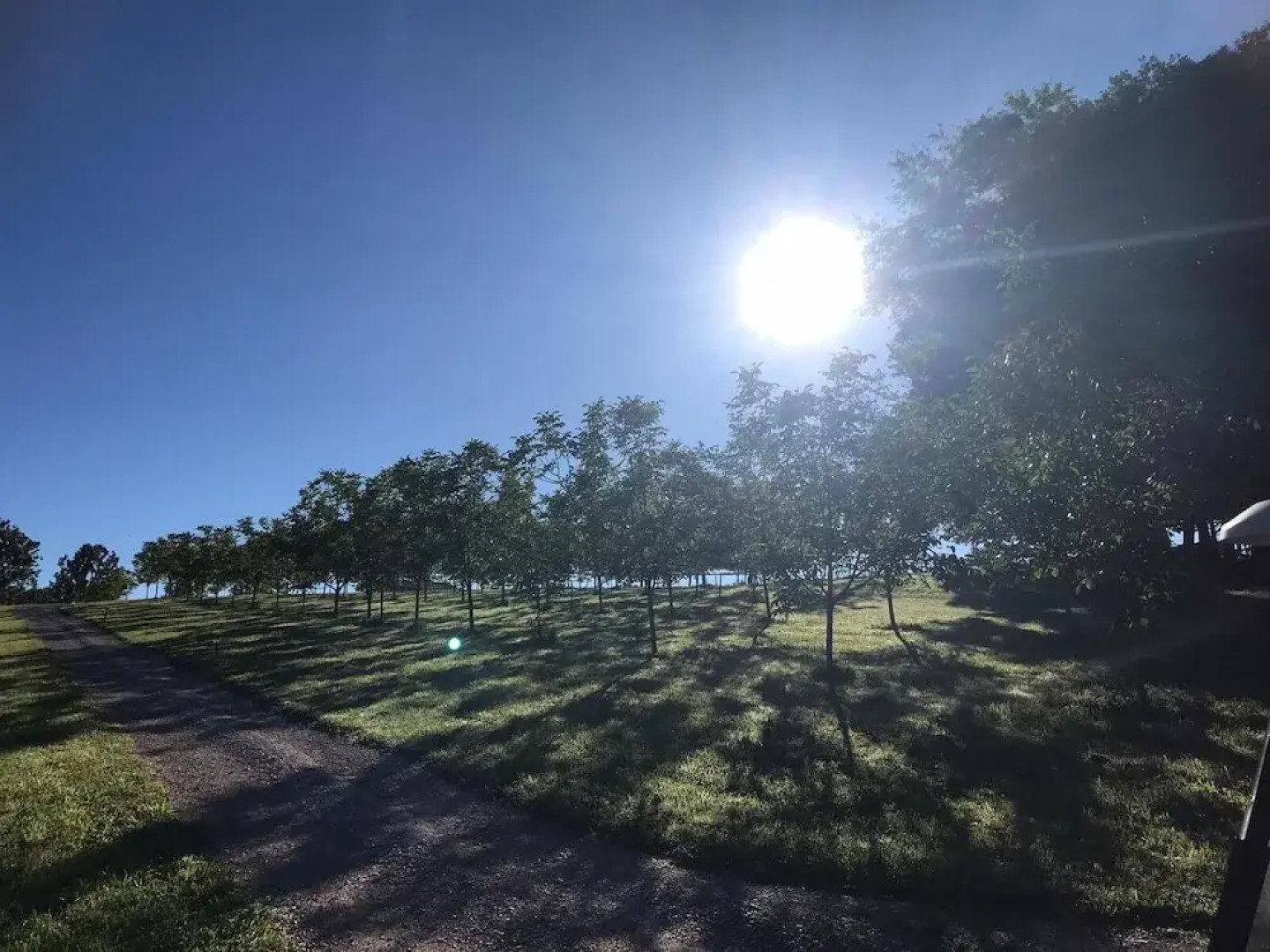 Les Cabanes Perchées du Mas del Bosc