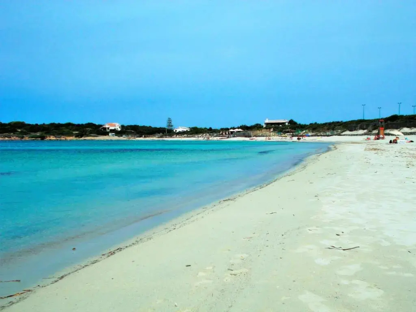 Pineta Spiaggia Grande