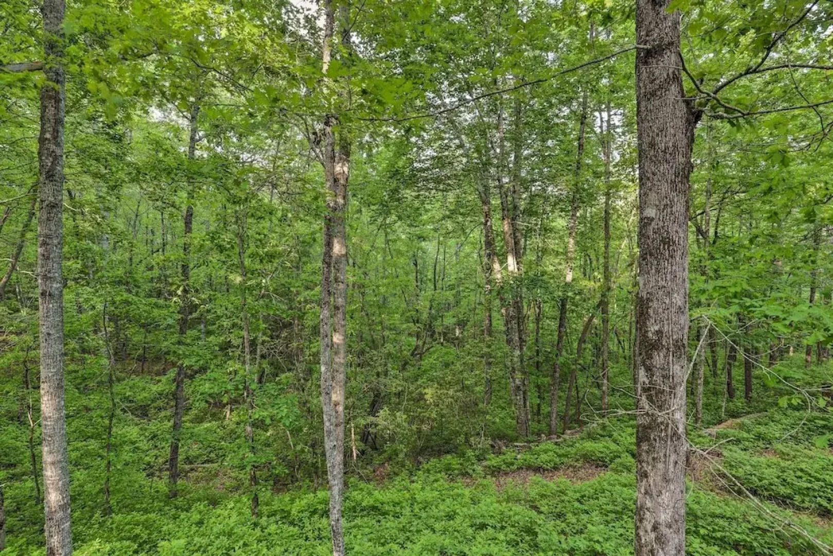 Serene Brevard Cabin ~ 7 Miles to State Forest!
