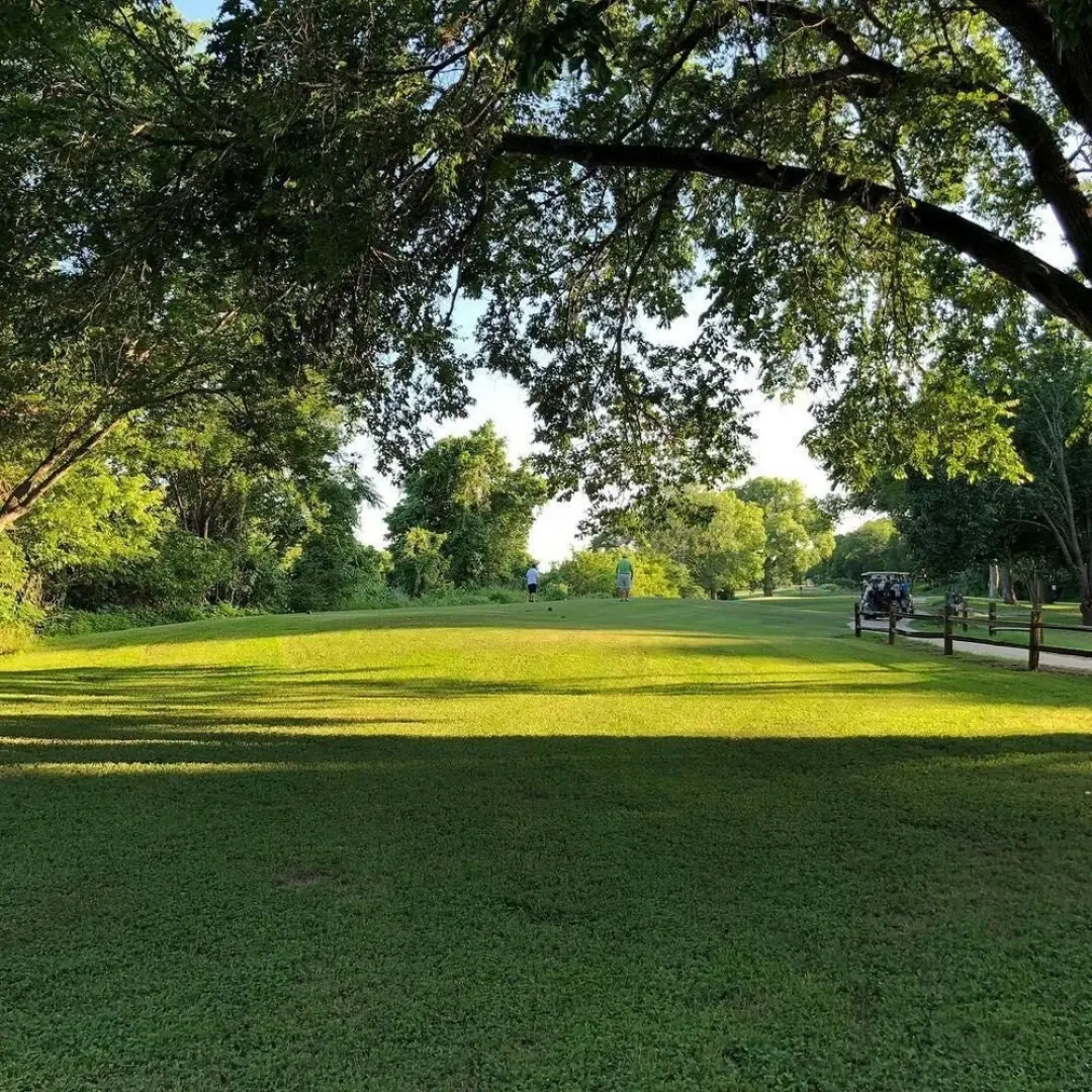 Beautiful Scenery, Towering Pines, Rolling Hills, and the Colorado River